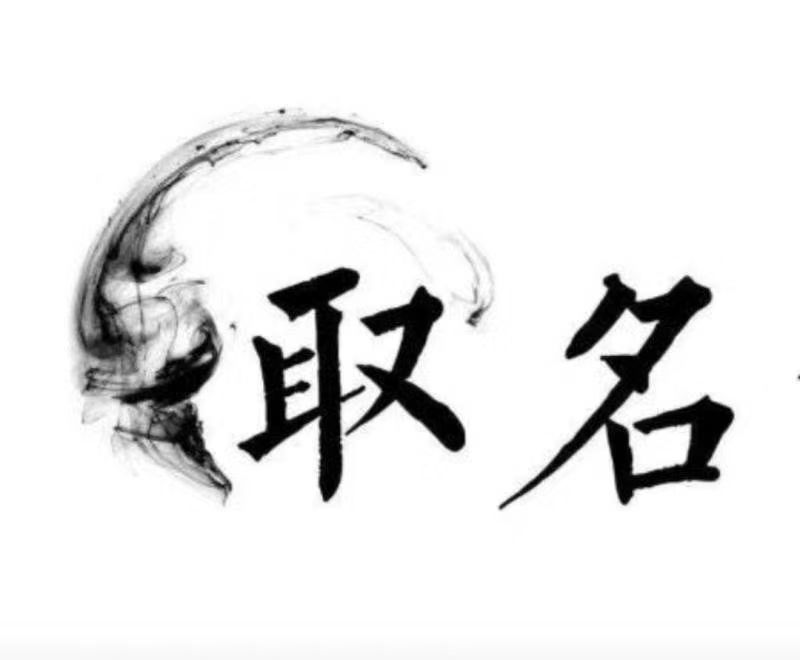  乌海市宝宝取名 大师一对一人工起名